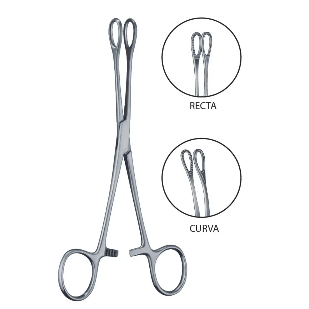 FOERSTER PINZA PORTA-ESPONJAS, RECTA, QUIJADA ASERRADA, 24.2 CM. DE LONGITUD.