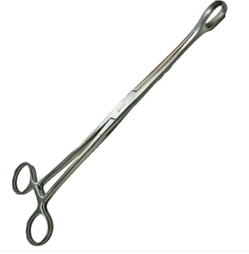 FORESTER PINZA PORTA-ESPONJAS, RECTA, QUIJADA ASERRADA, 24.2 CM. DE LONGITUD.